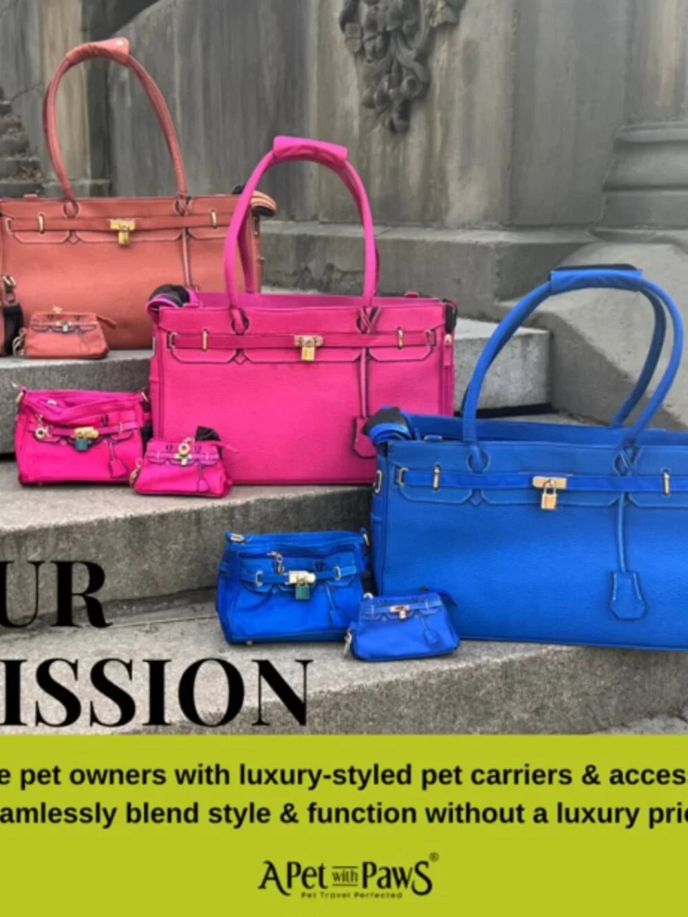 Luxury Airline-Approved Pet Carrier – Like New – Designer Handbag Style